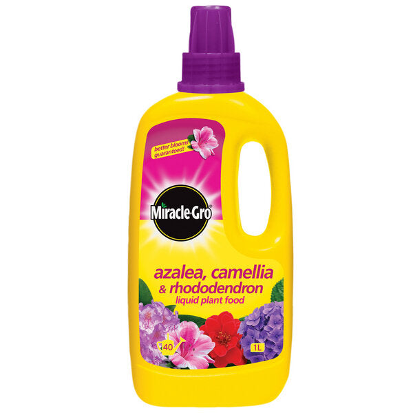 MIRACLE-GRO AZALEA,CAMELLIA & RHODODENDRON LIQUID PLANT FOOD 1 LITRE